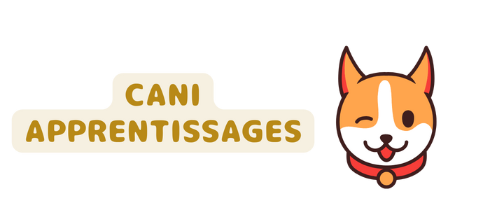 Logo 11 transparent rectangle